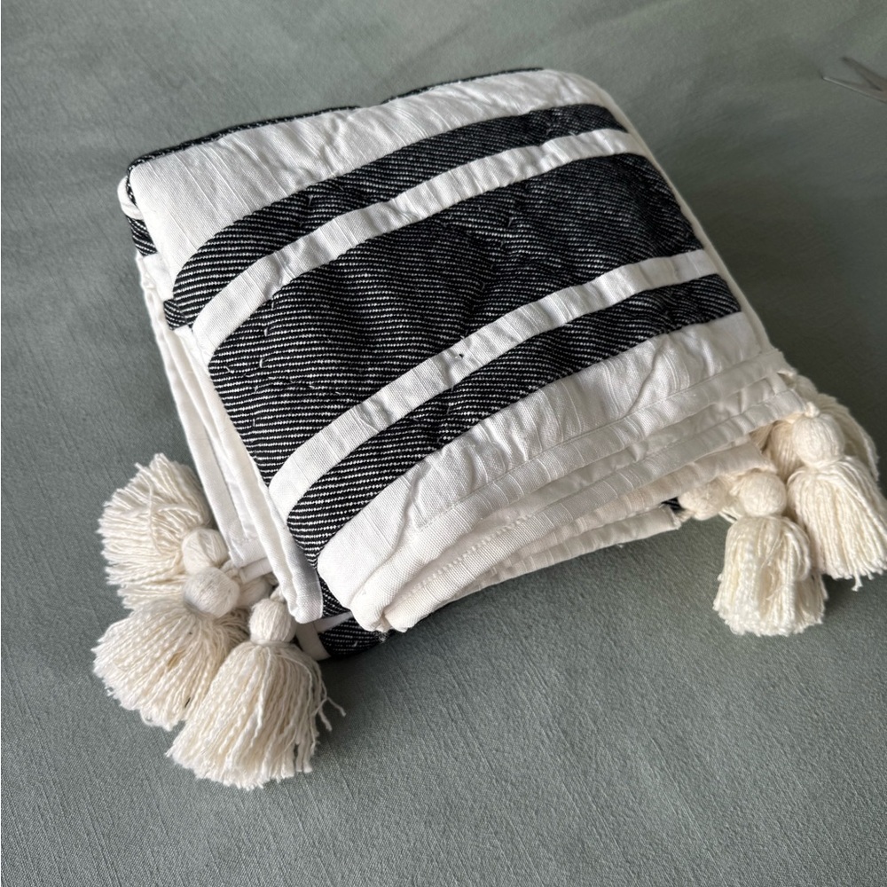 POTTERY BARN MESA TASSEL BLACK STRIPED SHAMS SET OF 2 KING - Picture 9 of 13